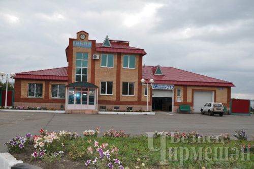 Чирмешән районында ике ир-ат руль артына исерек хәлдә утырганнар