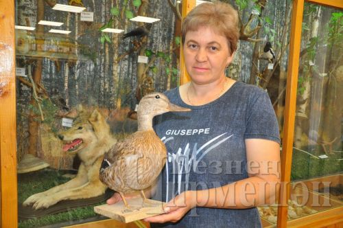 В Черемшанском лицее есть и музей