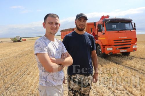 В обществе «БИО-АГРО» нет проблем в уборке зерновых