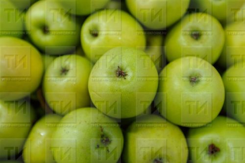 Көзен һәм кышын нинди продуктларның файдалы булуын аңлатканнар
