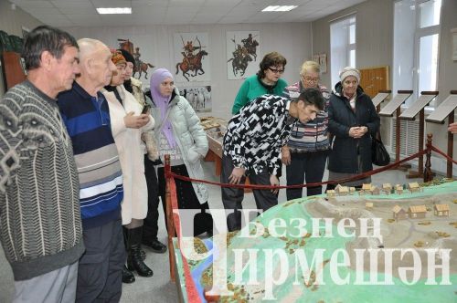 Мөмкинлекләре чикле чирмешәнлеләр инвалидлар оешмасында очрашты