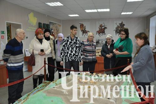 Мөмкинлекләре чикле чирмешәнлеләр инвалидлар оешмасында очрашты
