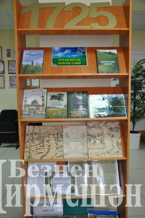 Түбән Кәминкә - бай тарихлы авыл
