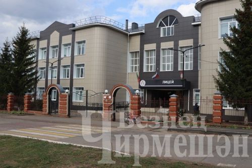 В Черемшанском районе для школьников действуют около 200 кружков