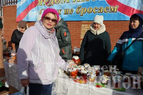 Чирмешән укытучылары гуманитар ярдәм җыюда актив катнашалар