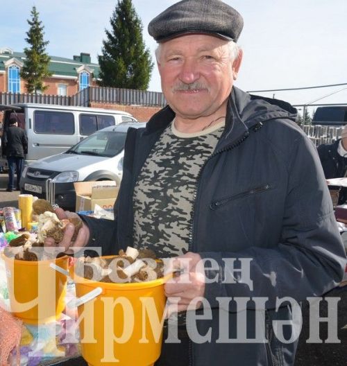 Шенталада кәҗә гөмбәсе уңган
