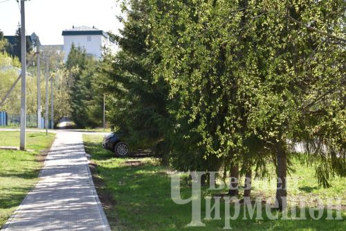 Ялларда Татарстанда +30 градус эссе һәм яшен көтелә