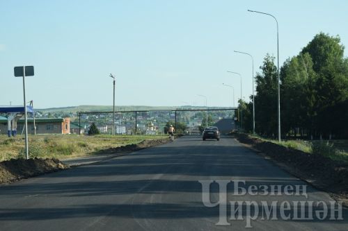 Из-за аномальной жары татарстанских водителей призывают не садиться за руль