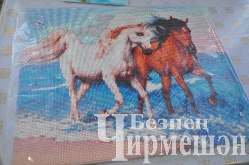 Керкәле  авылы остасы  үз картинасына 38 төсле алмаз тезгән