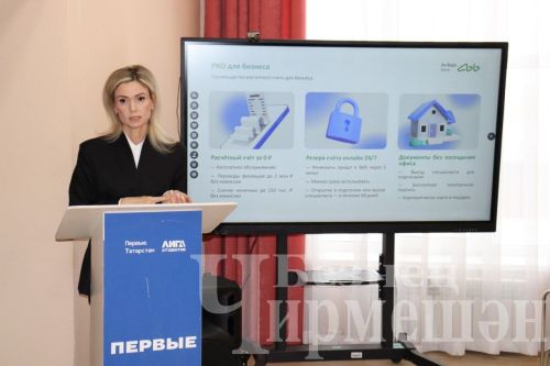Чирмешәндә җитештерү, эшкәртү тармагында шөгыльләнүче эшмәкәрләр аз