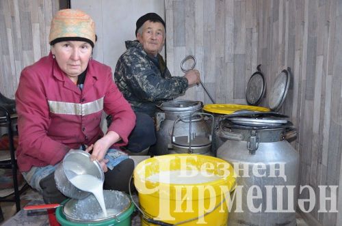 Иске Үтәмештән Иззатуллиннар сөт сатып, айга 75 мең сум керем ала