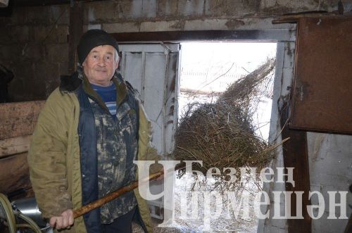 Иске Үтәмештән Иззатуллиннар сөт сатып, айга 75 мең сум керем ала