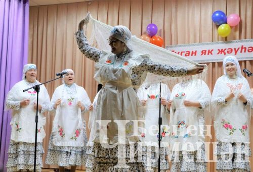 Чирмешәндә гала-концерттан кергән акчалар сугышчыларга ярдәмгә тотылачак