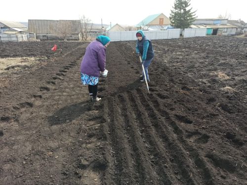 Что нужно сделать в апреле в саду и огороде