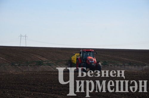 Механизаторы «ЧЕРЕМШАНАГРО» готовят почву под рапс