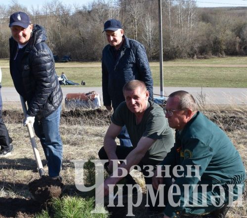 Черемшанцы высадили «Сад памяти» в честь Победы