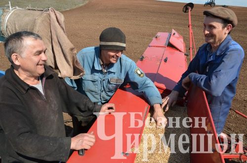 Возле песчаного карьера у Нового Ильмова сеют ячмень