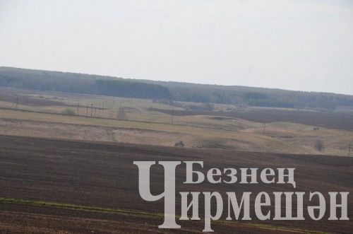Возле песчаного карьера у Нового Ильмова сеют ячмень