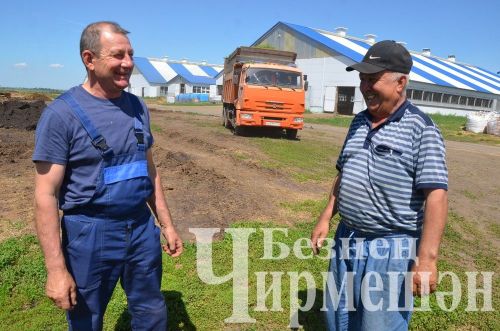 В обществе «Ильхан» Черемшанского района приступили к закладке сенажа