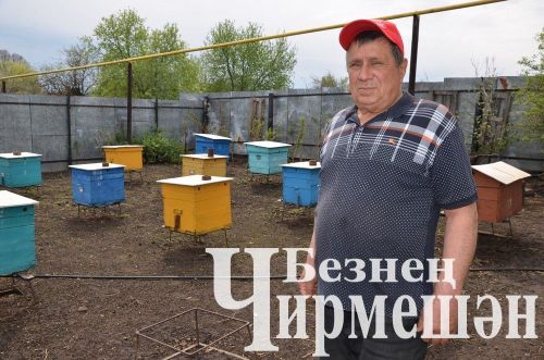 Утыз Имәннән Наил Мәгъсүмовның мунчасы да бер комплекс сыман