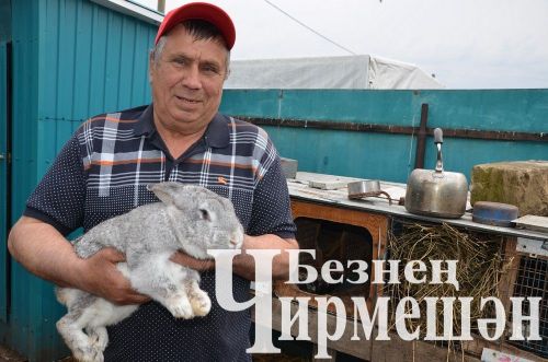 Утыз Имәннән Наил Мәгъсүмовның мунчасы да бер комплекс сыман