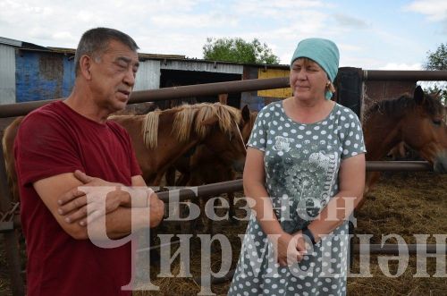 Түбән Кәминкәдән Ибраһимовларда абзарлары буш тормый