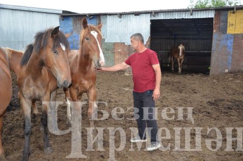 Түбән Кәминкәдән Ибраһимовларда абзарлары буш тормый