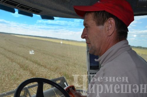Старокутушских комбайнеров угостили макаронами по-флотски