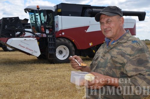 Старокутушских комбайнеров угостили макаронами по-флотски