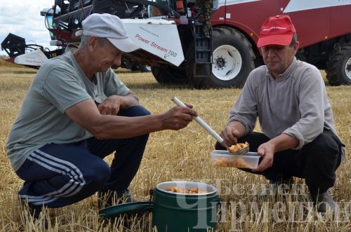 Старокутушских комбайнеров угостили макаронами по-флотски
