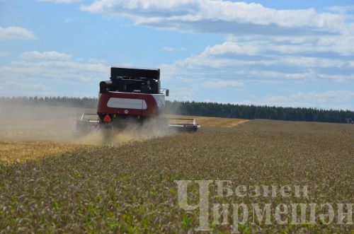 Старокутушских комбайнеров угостили макаронами по-флотски