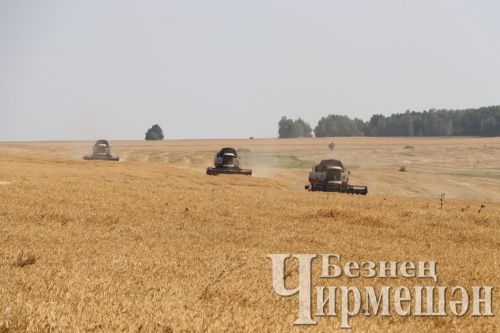 Народные приметы на 31 июля