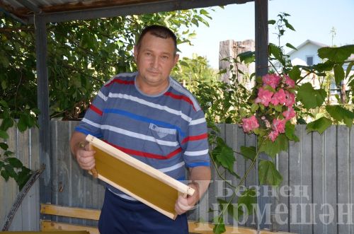 Яшәүчедән Сәлмановлар дүрт фляга бал аертканнар