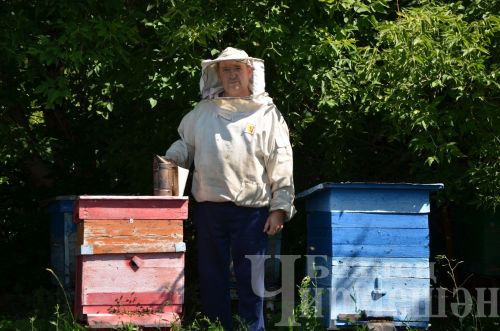 Яшәүчедән Сәлмановлар дүрт фляга бал аертканнар