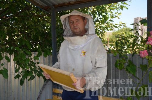 Яшәүчедән Сәлмановлар дүрт фляга бал аертканнар