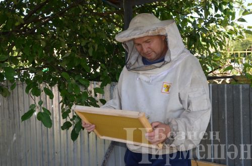 Яшәүчедән Сәлмановлар дүрт фляга бал аертканнар