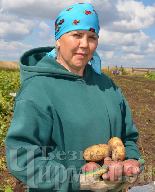 Людмила Калмыкова из Аккиреева поделилась национальным рецептом хуплу