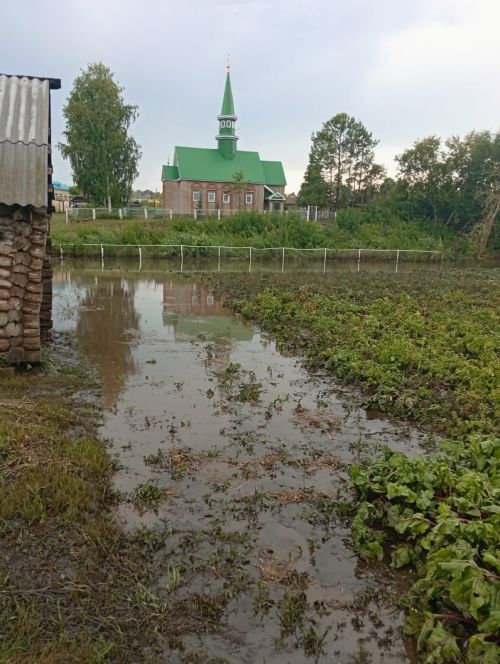 Иске Үтәмештә яуган көчле яңгыр суы бакчаларга керде