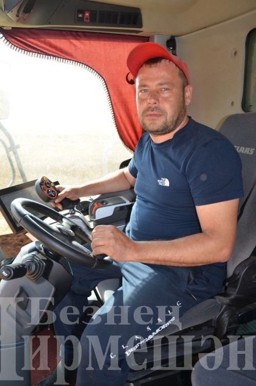 В обществе «БИО-АГРО» Черемшанского района уродилась «Амелия»