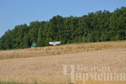 8 августка һава торышы