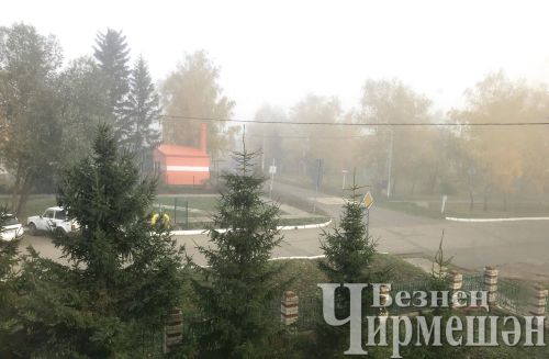 Татарстанда ял көннәрендә кырау төшү ихтималы бар