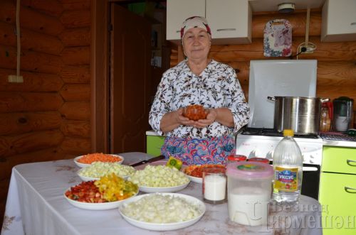 Якты Тауны Ганиевлар кебек гаиләләр яшәтә