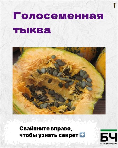 Семечки без шелухи с грядки (карточки)
