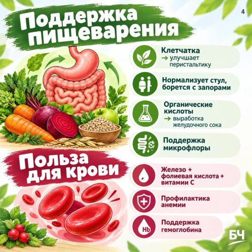 Свекла — суперфуд или скрытая угроза? Разбираем пользу и вред