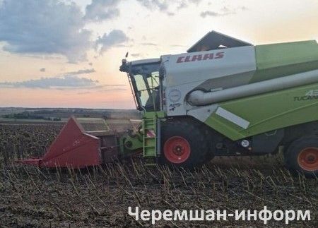 Чирмешән районында 800 тирәсе гектар мәйданнан көнбагыш суктырасы калды