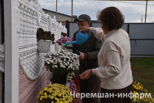 Чирмешәндә Гариповлар ишегалдында 85 чүлмәктә хризантема үсә