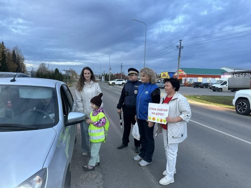 В Черемшане прошла акция «Стань заметней!»