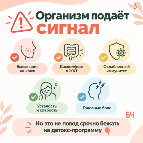 Детокс-программы: что реально работает, а что только вредит