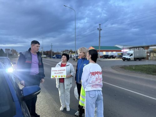 В Черемшане прошла акция «Стань заметней!»