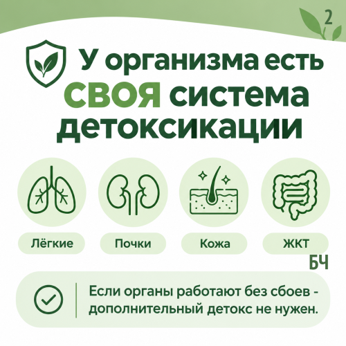 Детокс-программы: что реально работает, а что только вредит